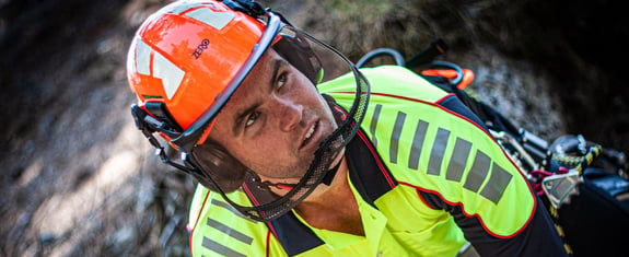 Image of forestry worker positioned on a tree wearing a helmet